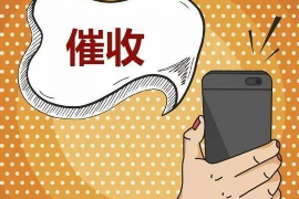 宁安债务清欠服务